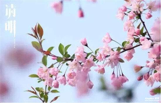 關于2019年清明節的放假通知