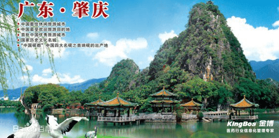 廣州金博肇慶辦事處成立