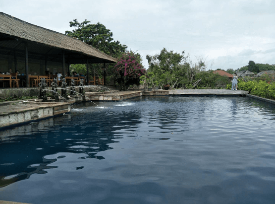 金博總部2017年度優秀員工巴厘島之旅