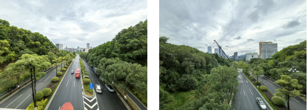 1766545454313427.png