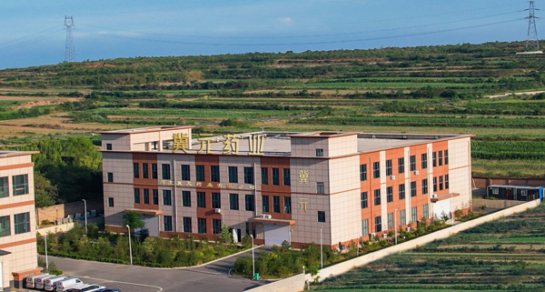 河北冀元藥業(yè)攜手金博軟件，數(shù)字化升級打造中藥飲片現(xiàn)代物流系統(tǒng)（ERP+WMS+TMS）